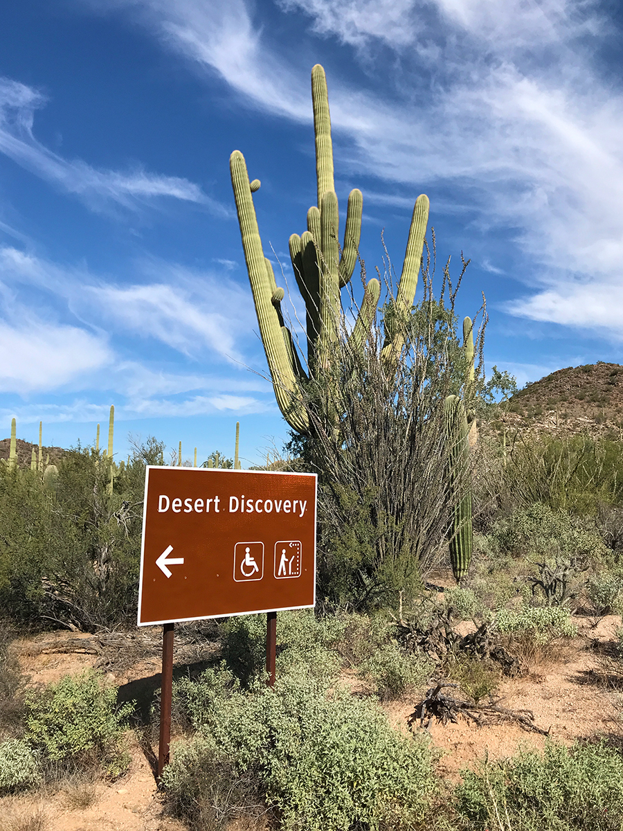 The Desert Discovery Trail At Saguaro National Park