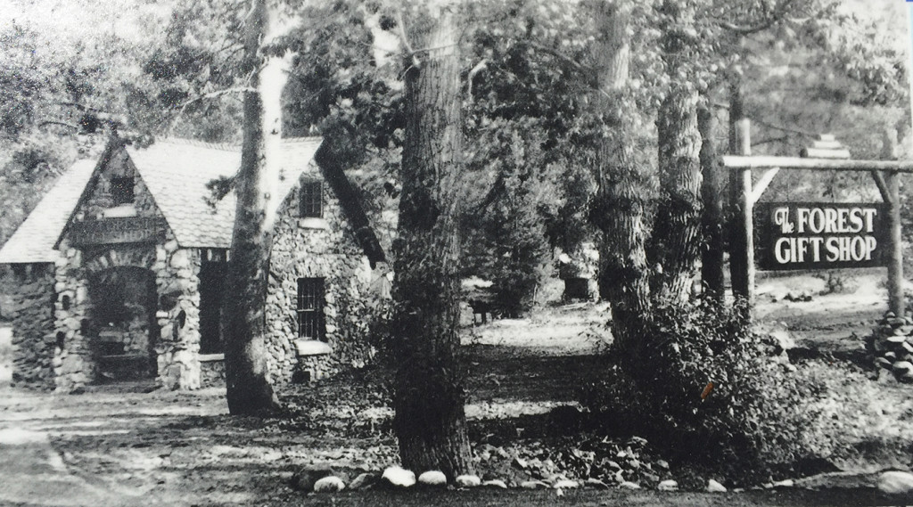 Historic Photo Of The Forest Gift Shop