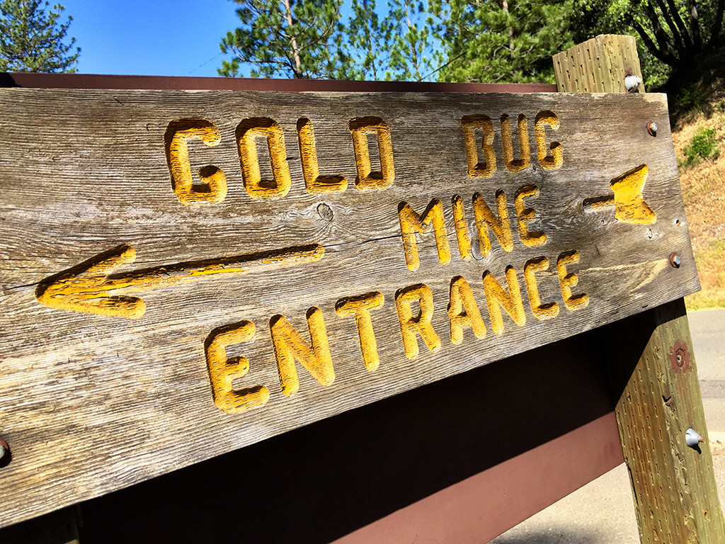 Gold Bug Mine Placerville California