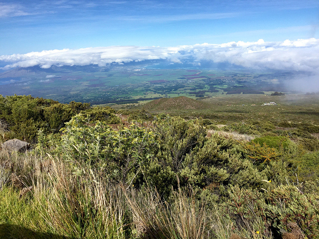 View of Maui Driving Up Haleakala