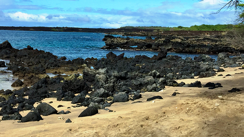 Hiking Through La Perouse Bay in South Maui
