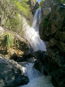 Salmon Creek Falls Trail in the Los Padres National Forest