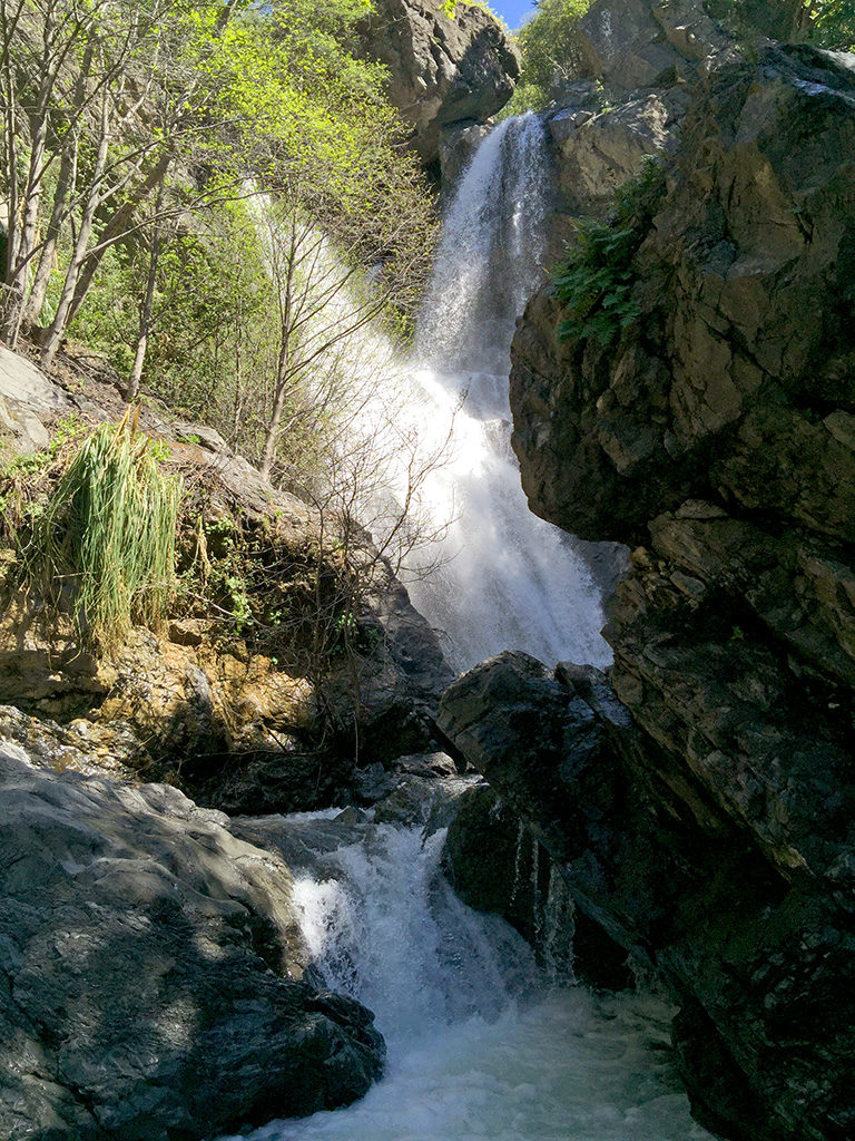 Hiking The Salmon Creek Falls Trail
