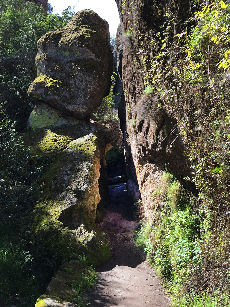 Bear Gulch Cave Entrance