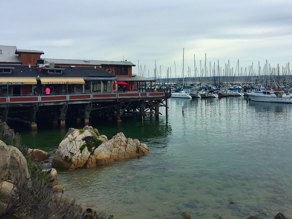 Day Trip to Monterey And Visiting Fishermans Wharf