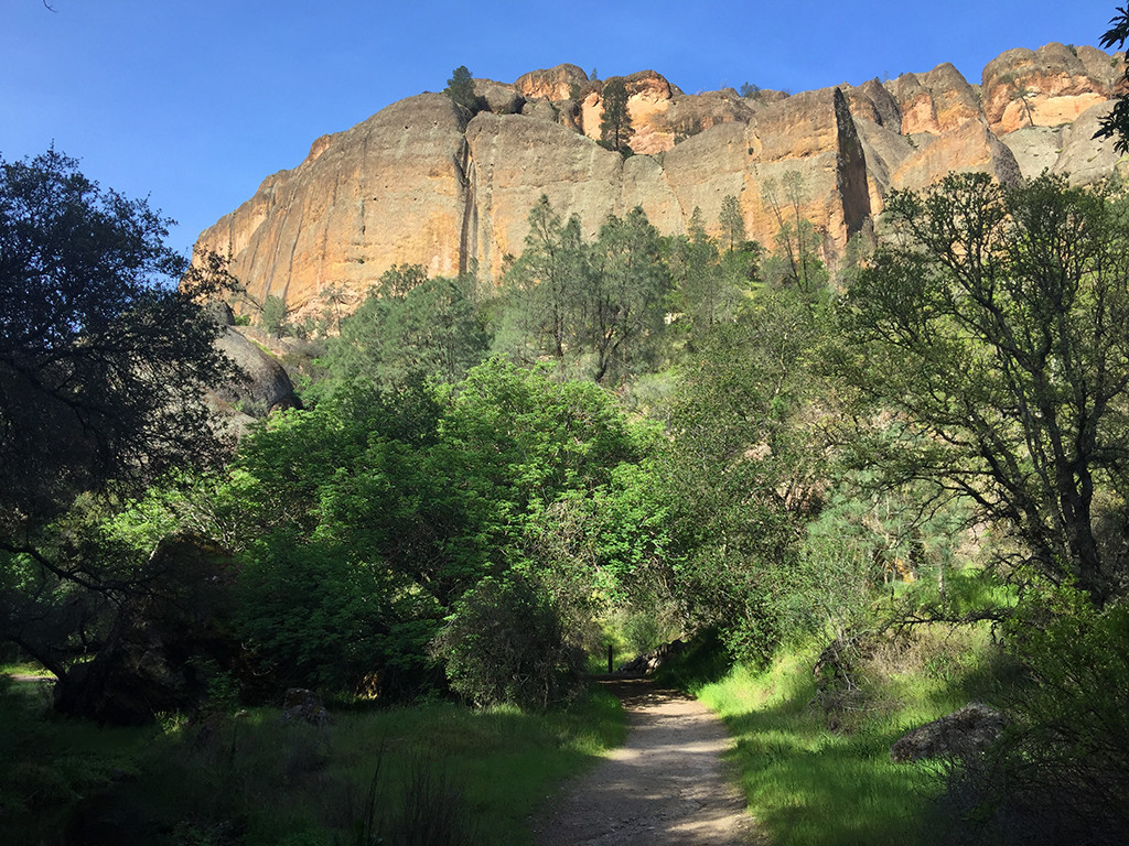 Old Pinnacles To Balconies Cave Trail
