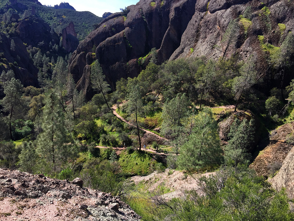 Switchbacks Along Balconies Cave Trail