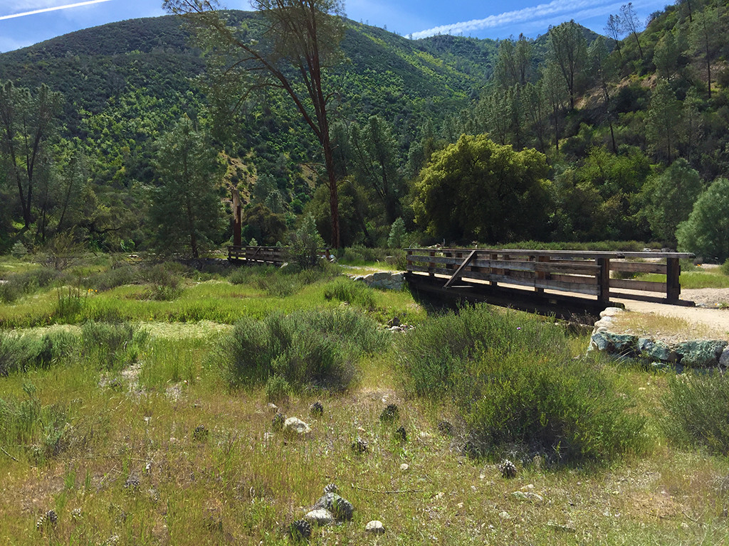 Visitor Center To Bear Gulch Day Use Trail