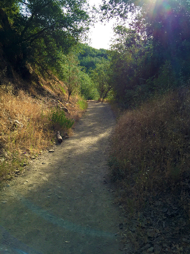 Easy Hike on The Canyon Creek Trail