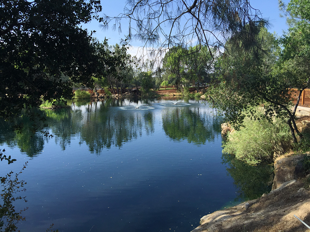 Concerts at Rocklin's Quarry Park Outdoor Amphitheater