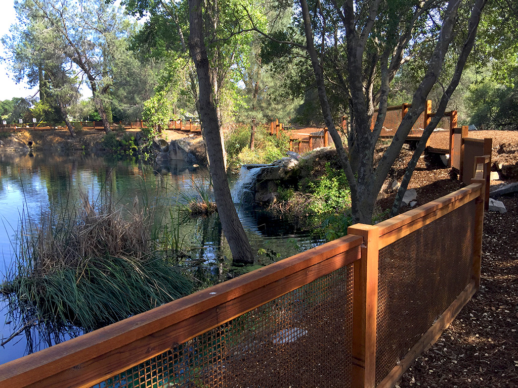 Concerts at Rocklin's Quarry Park Outdoor Amphitheater