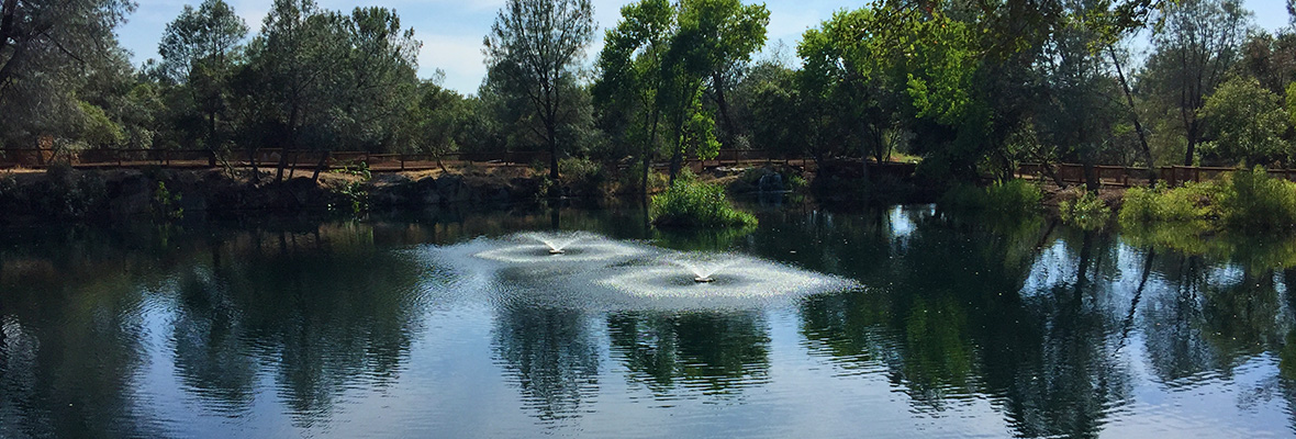 View Of Quinn Quarry From Quarry Park Amphitheater