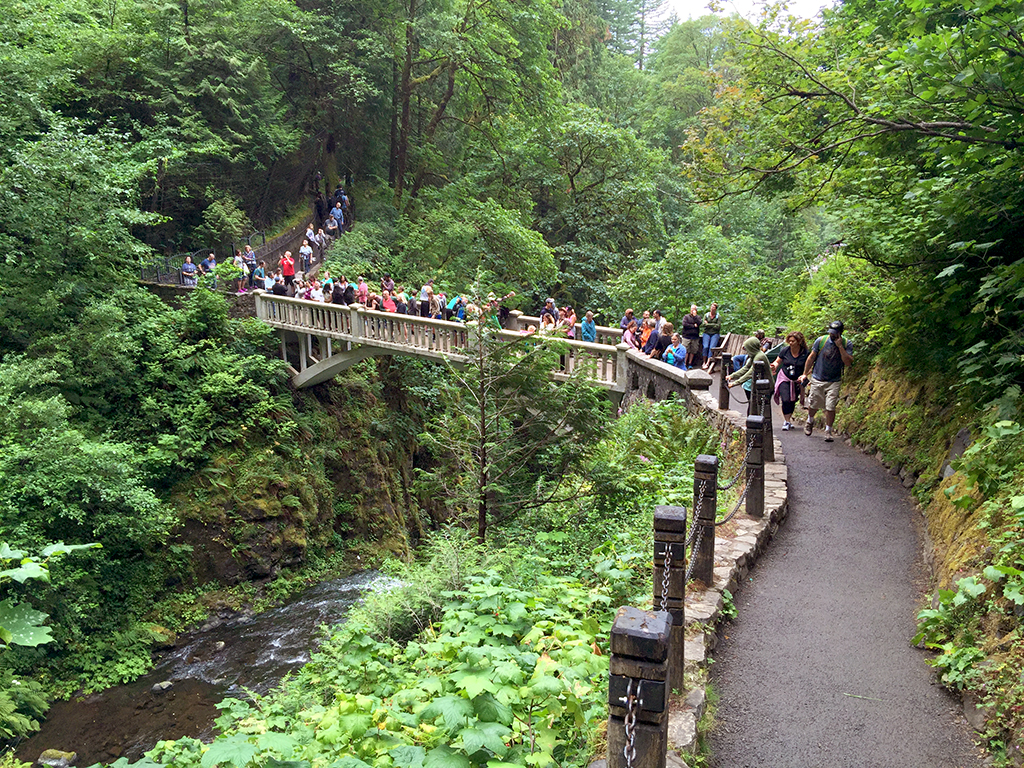 Multnomah Falls and Benson Bridge at the Historic Multnomah Falls Lodge