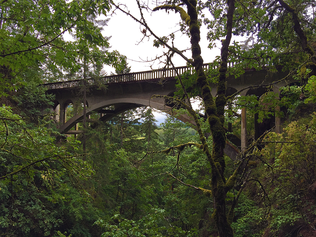 Escape to Oregon's Hidden Gem: Shepperd's Dell State Natural Area