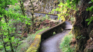 Shepperd's Dell State Natural Area Waterfall In The Columbia River Gorge