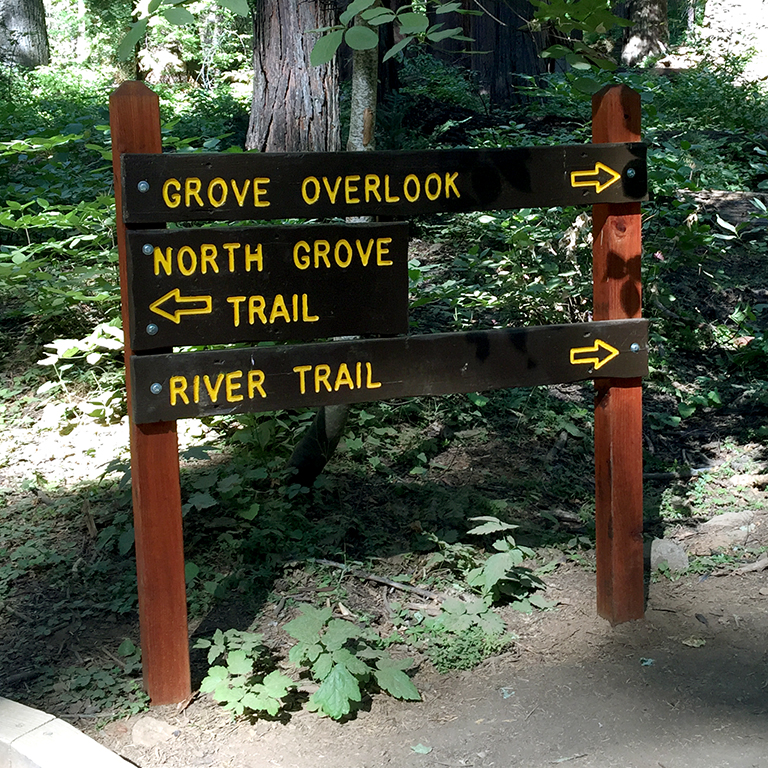 Exploring The Calaveras Big Trees State Park North Grove Trail