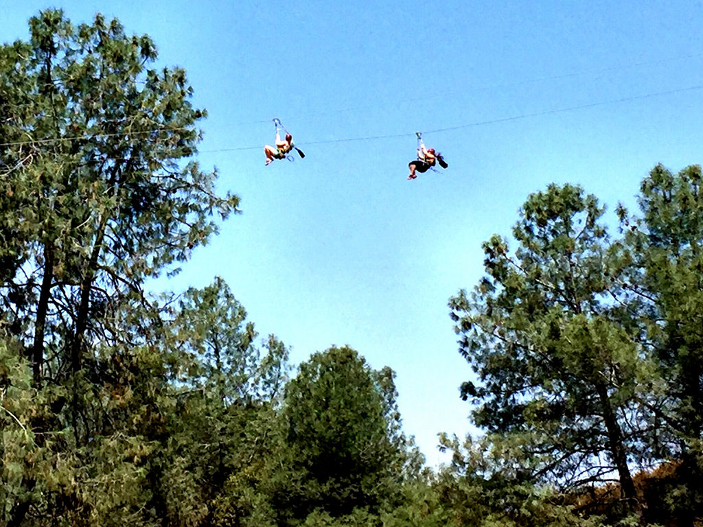 California Twin Zip Line Race