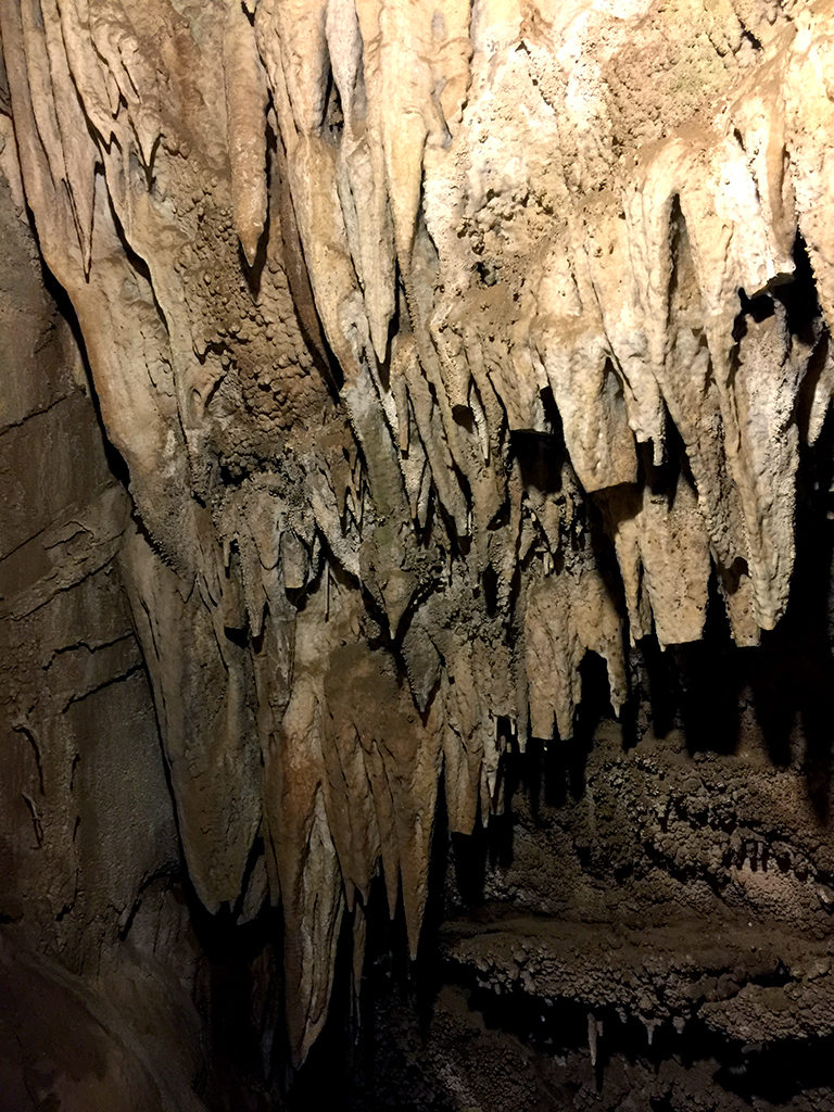 Moaning Cavern Cave Popcorn and Draperies