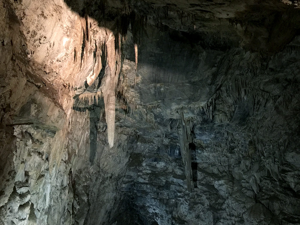 Moaning Cavern Adventure Park and California Zip Lines