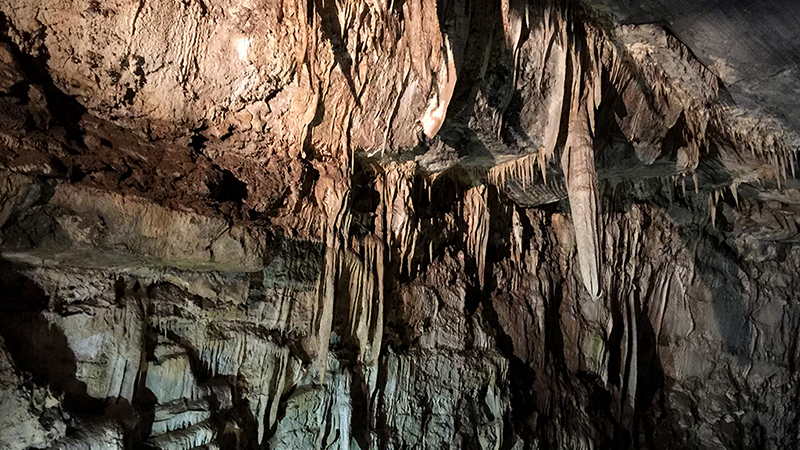 California Cavern Tour at Moaning Cavern Stalactites