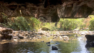 Natural Bridges Cave and Swimming Hole