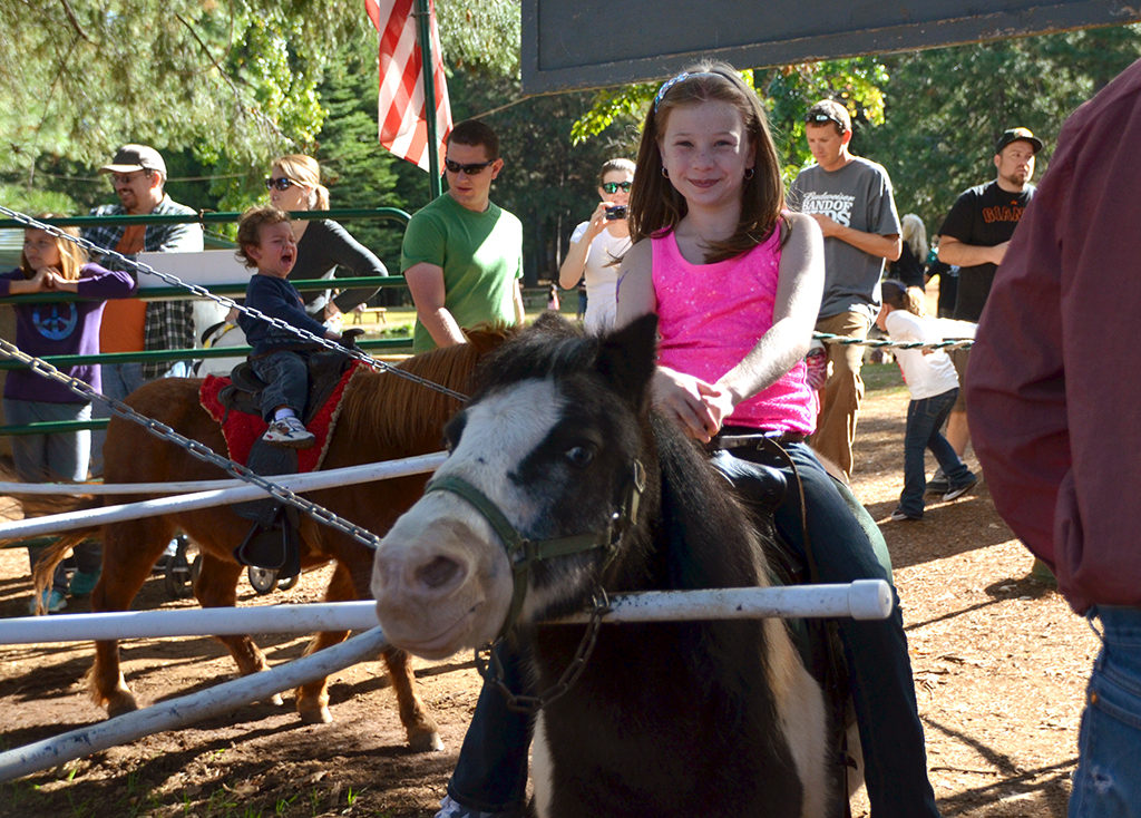 Apple Hill Pony Rides