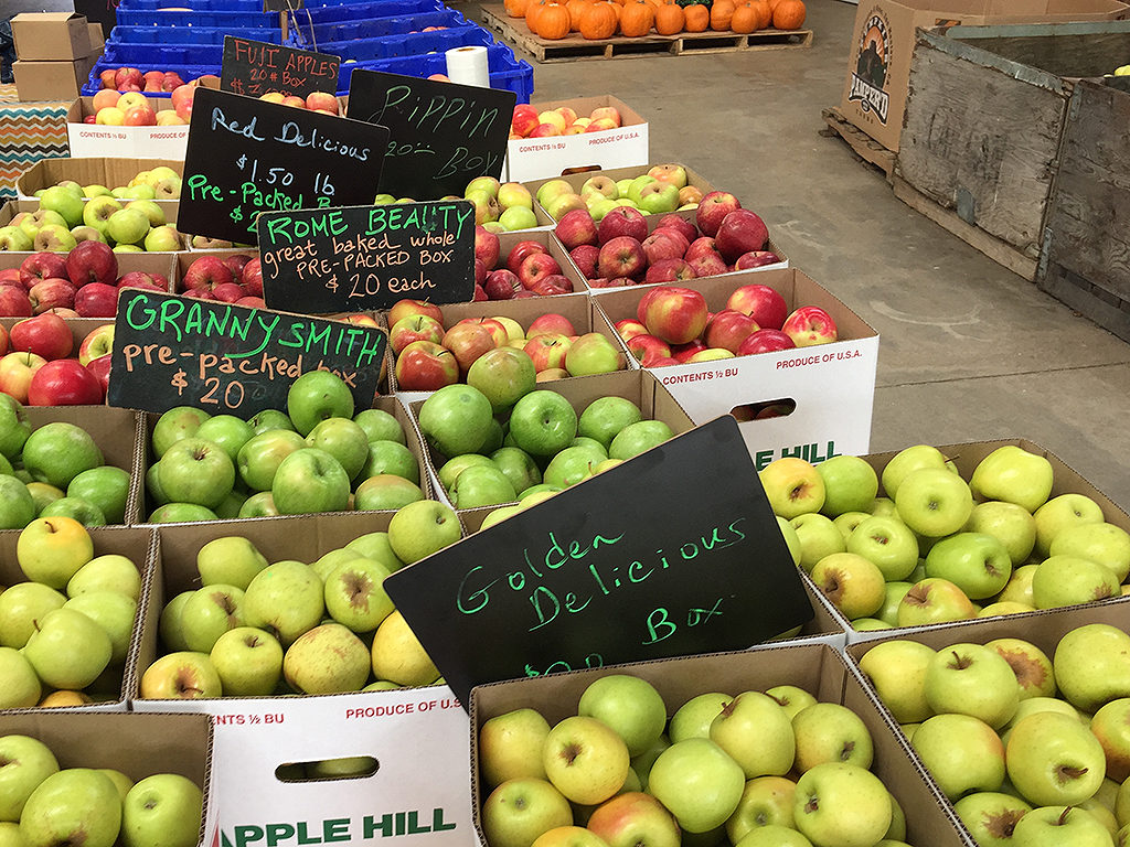 Hot Apple Cider Doughnuts At Rainbow Orchards In Apple Hill