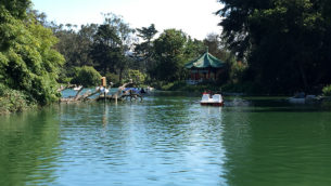 Family Fun at Strawberry Hill on Stow Lake