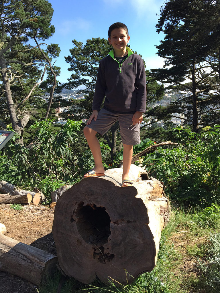 Family Urban Hike at Strawberry Hill