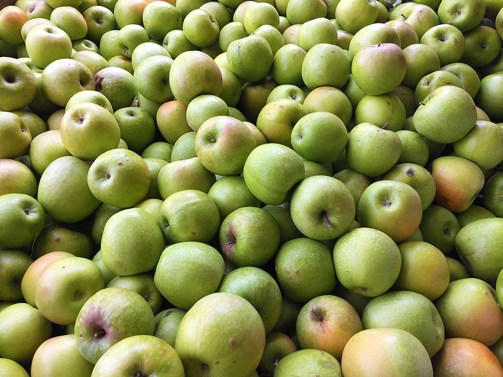 Apple Hill Apples