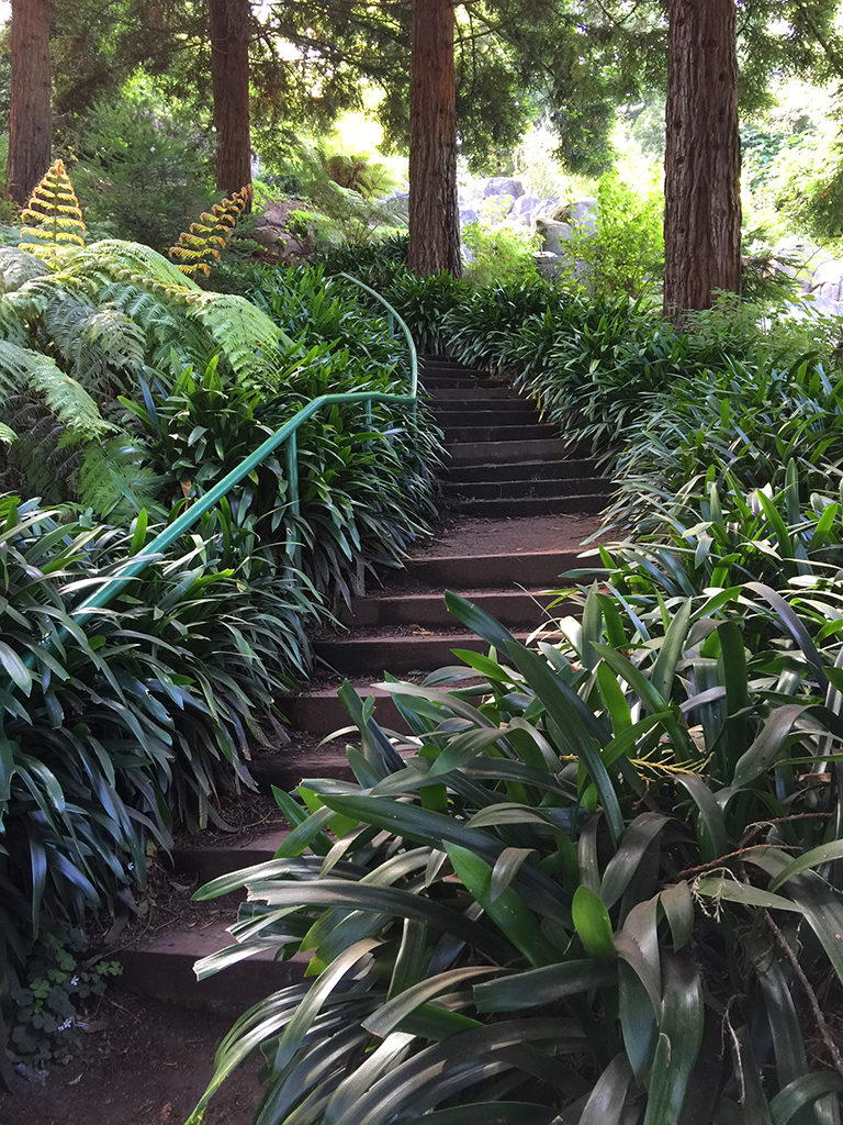 Stow Lake Hiking Trail in Golden Gate Park