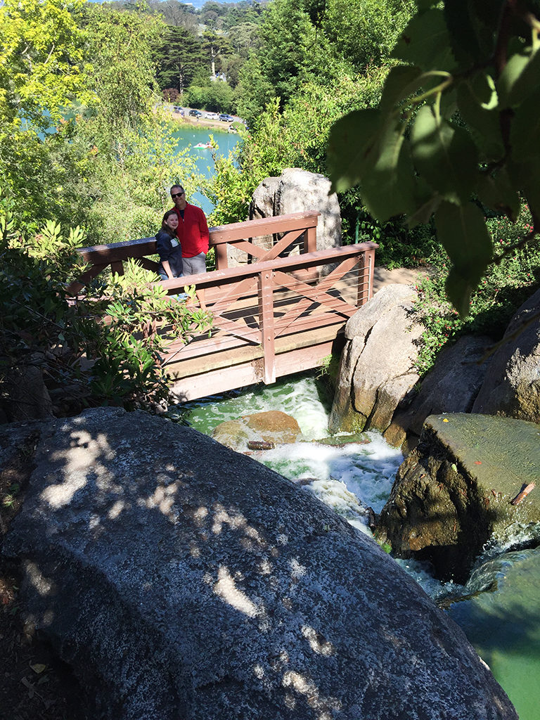 Strawberry Hill Waterfall Overlook and Hiking Trail
