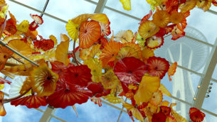 Chihuly Garden And Glass Museum in Seattle Center