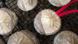 Make Glittery Sand Dollar Christmas Ornaments With ModPodge