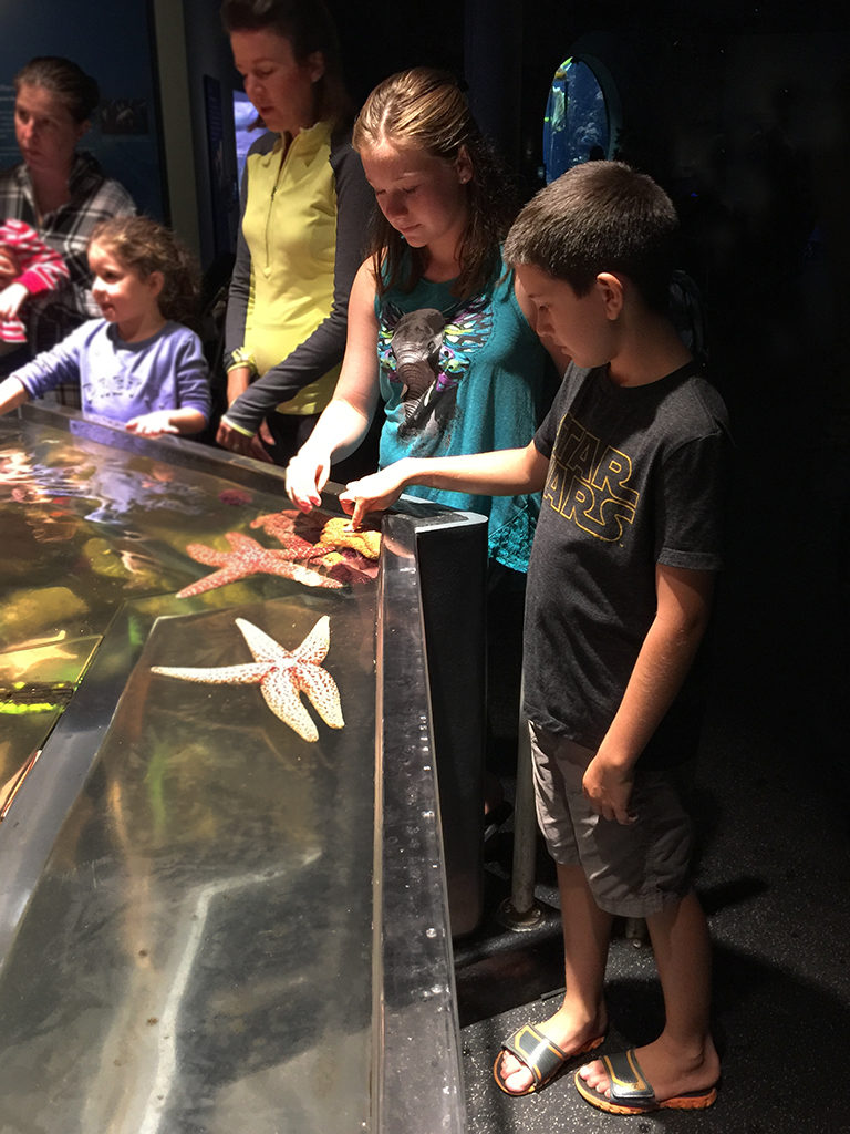 Aquarium Touch Pools for Kids