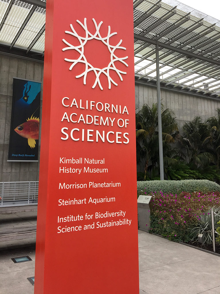 California Academy of Sciences in San Francisco