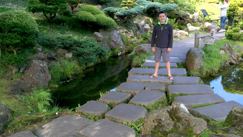 Carter walking on the stone paths at the Japanese Tea Garden
