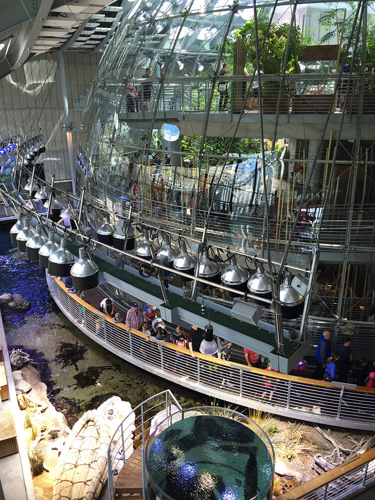 Visiting The California Academy of Sciences In Golden Gate Park, San ... - Osher Rainforest Dome GolDen Gate Park 768x1024