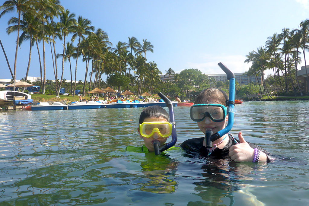 snorkeling tours on big island hawaii