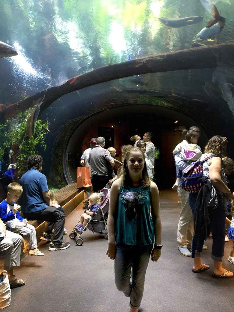 Steinhart Aquarium at the California Academy of Sciences