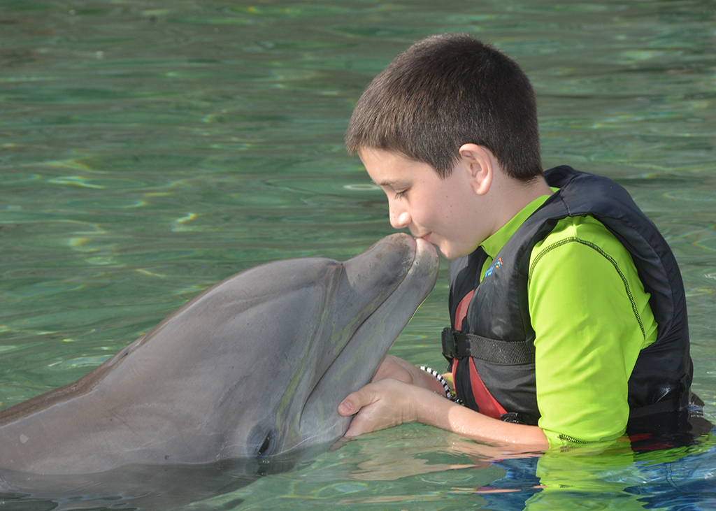 Dolphin Quest: Swimming With Dolphins On The Big Island Of Hawai'i