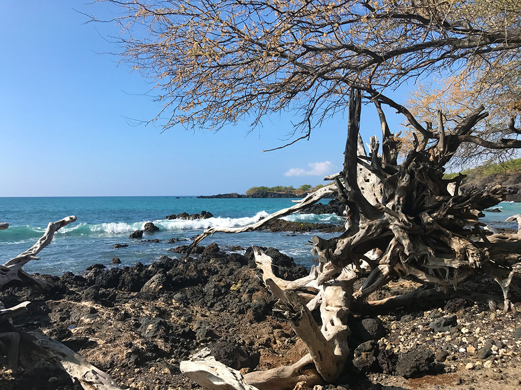 Waialea Bay on the Kohala Coast of Hawaii