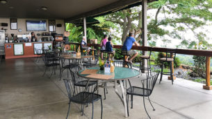 Tour Kona Joe's Coffee Farm in Hawaii