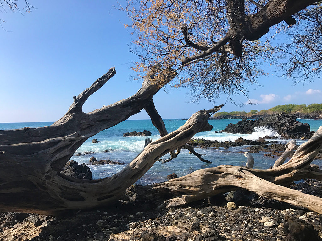 Waialea Bay