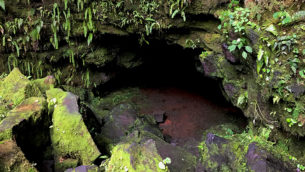 Walk Inside and Explore Kaumana Caves Lava Tubes in Hilo, Hawaii