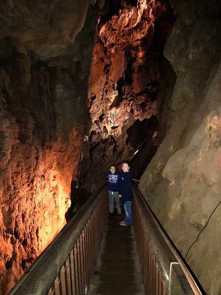 Black Chasm Cavern Staircase