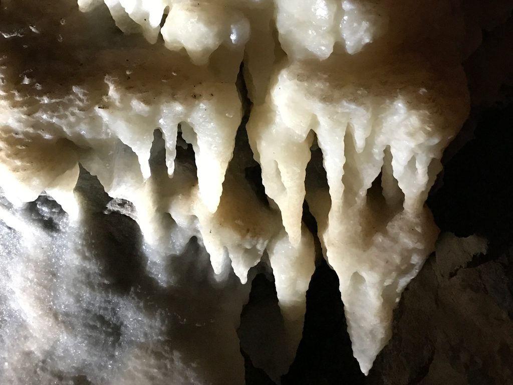 Underground Cavern Tours at Black Chasm Cavern in Pine Grove, California