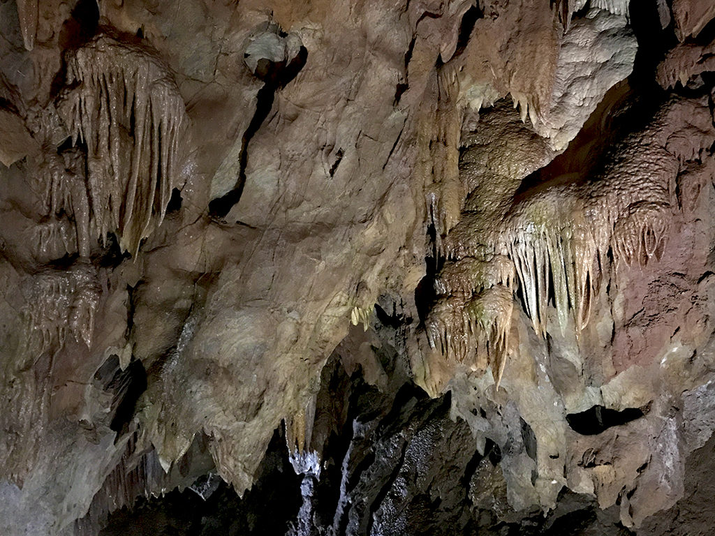 Cavern Tours