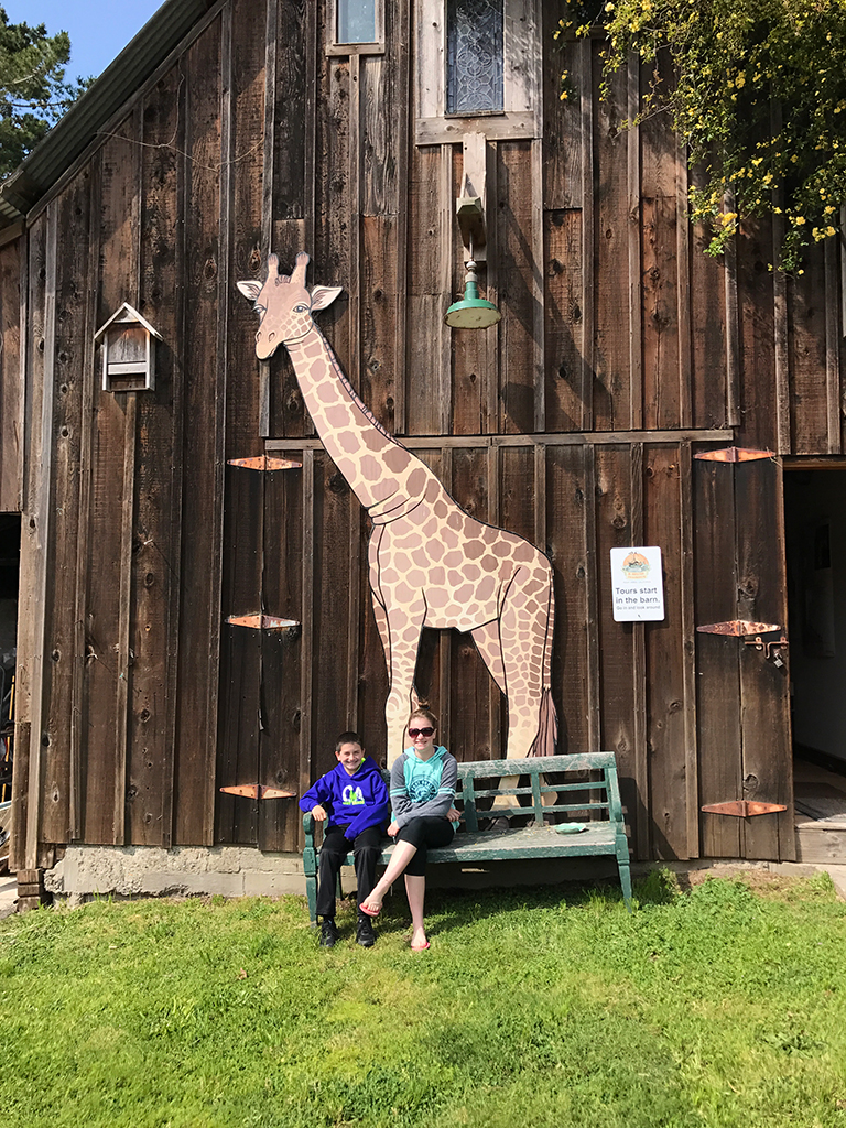 B Bryan Preserve: See Zebras And Kiss Giraffes In Point Arena, California