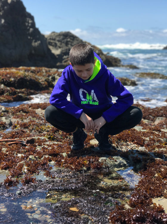 Carter Bourn Exploring the tide pools at Laguna Point